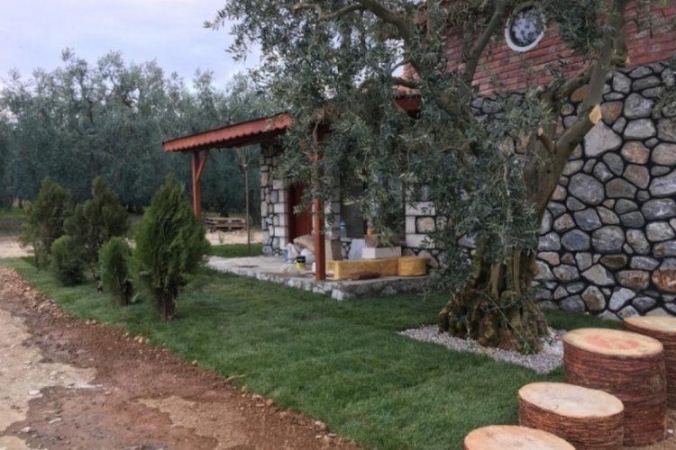 Bursa'da deprem korkusu insanları k&ouml;y hayatına mı y&ouml;neltti?