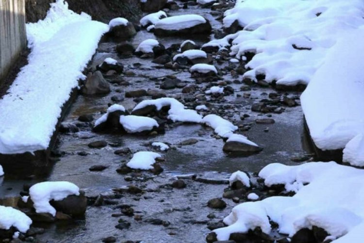 T&uuml;rkiye'nin en &ccedil;ok yağış alan şehri Rize'de kuraklık alarmı