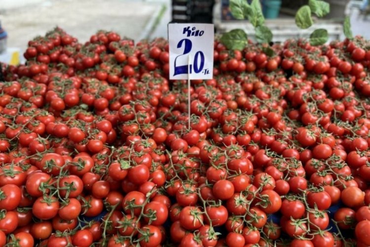 İhracat yasağı domatese yaradı