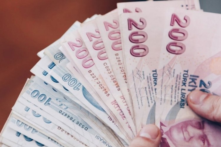 T&uuml;rkiye Aile Destek Programı &ouml;demeleri başlıyor
