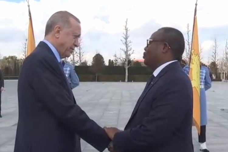 Erdoğan, Gine Bissau Cumhurbaşkanı Embalo ile bir araya geldi