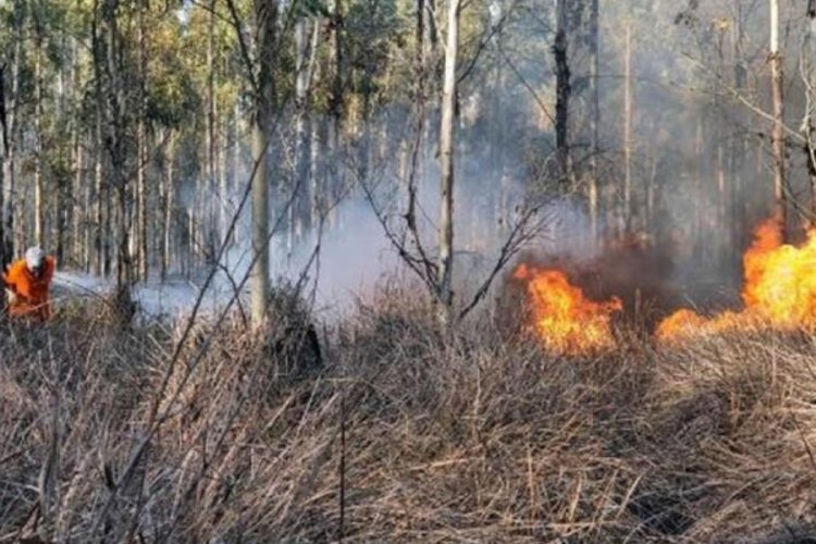 Mersin'de ormanda yangın &ccedil;ıktı