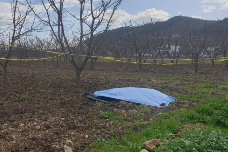 Manisa'da tarlada erkek cesedi bulundu
