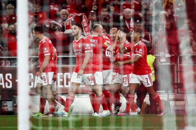 Benfica, Roger Schmidt ile kaybetmiyor