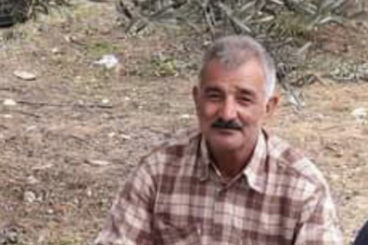 Balıkesir'de kestiği ağacın altında kalan şahıs yaşamını yitirdi