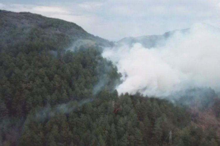 Kastamonu'da sigara izmariti ormanlık alanda yangın &ccedil;ıkardı