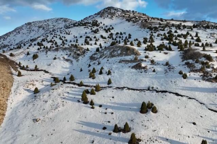 Kahramanmaraş'taki fay kırığı g&ouml;r&uuml;nt&uuml;lendi