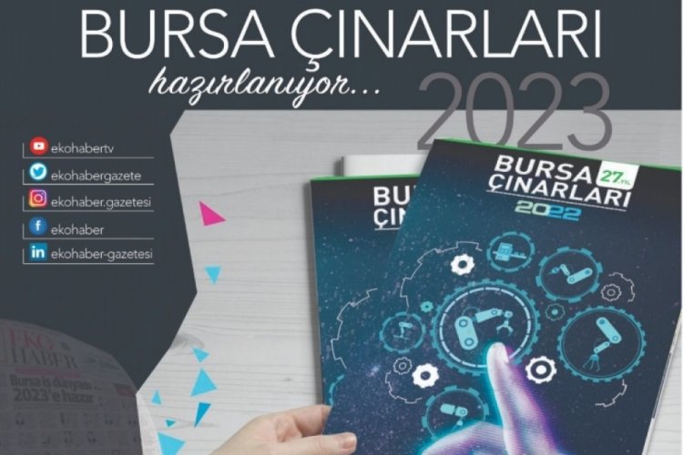 Bursa &Ccedil;ınarları hazırlanıyor