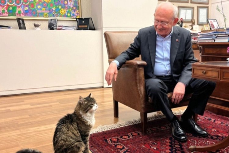 Kılı&ccedil;daroğlu'ndan Şero'ya s&ouml;z: Yaş mamayı l&uuml;ks olmaktan &ccedil;ıkaracağım