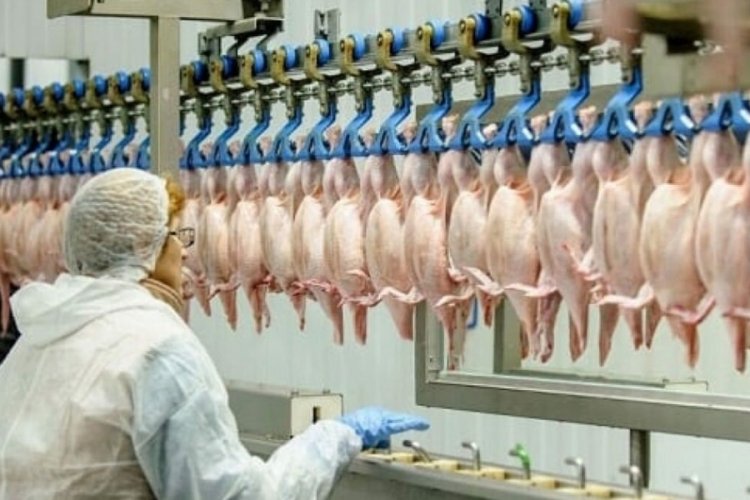 Ocak ayında beyaz et &uuml;retimi azaldı