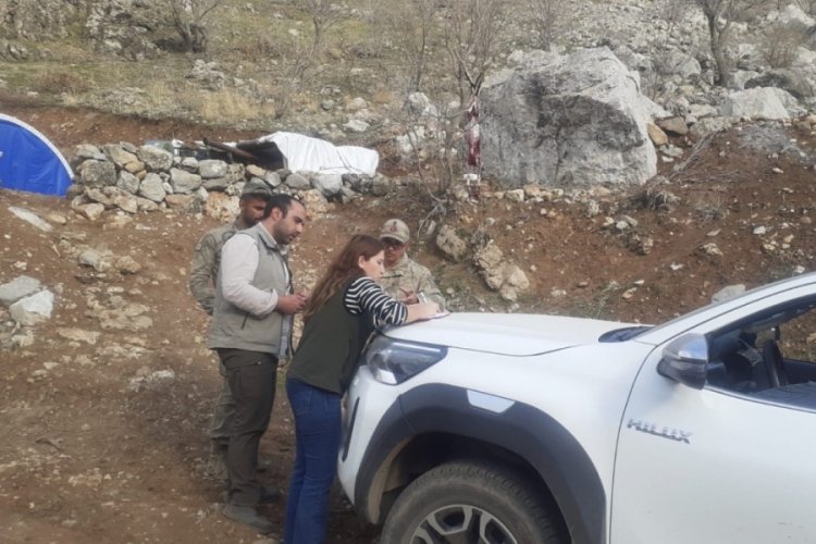Şırnak'ta yaban ke&ccedil;isi avlayan adama b&uuml;y&uuml;k ceza