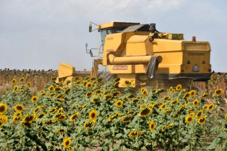 Trakya Birlik Başkanı'ndan ay&ccedil;i&ccedil;eğinde rekolte kaybı a&ccedil;ıklaması