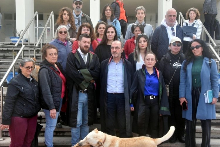 Muğla'da 3 k&ouml;peği zehirleyen sanığın yargılandığı davaya durdurma kararı