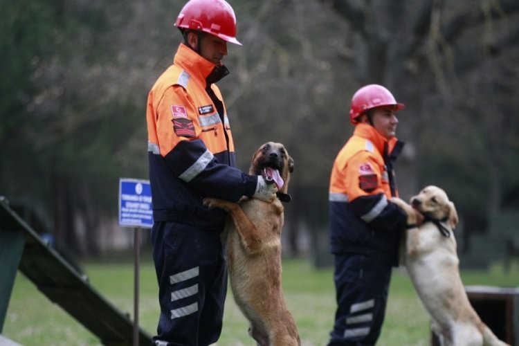 TSK'nın arama k&ouml;pekleri 78 kişiyi kurtardı! 'sessiz kahramanlar' madalya ile &ouml;d&uuml;llendirildi