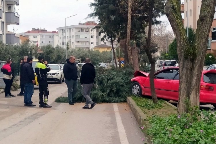 Bursa'da alkoll&uuml; s&uuml;r&uuml;c&uuml; &ouml;nce bir araca sonra ağaca &ccedil;arptı
