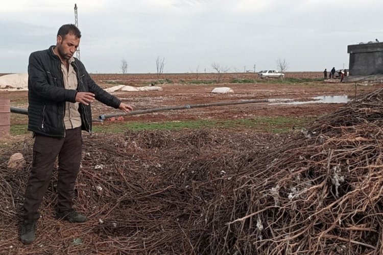 Şanlıurfa'da sel in ardından ortaya &ccedil;ıkan g&ouml;r&uuml;nt&uuml; korkuttu