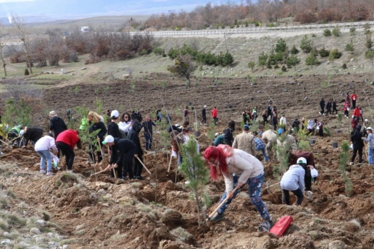 Eskişehir'de '6 Şubat Deprem Şehitleri Ormanı' yapıldı