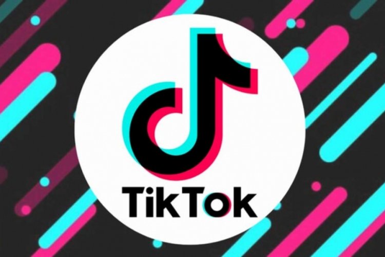 TikTok'a bir yasak da Hollanda'dan geldi