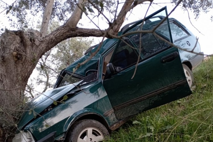 Aydın'da yoldan &ccedil;ıkan otomobil ağaca &ccedil;arptı