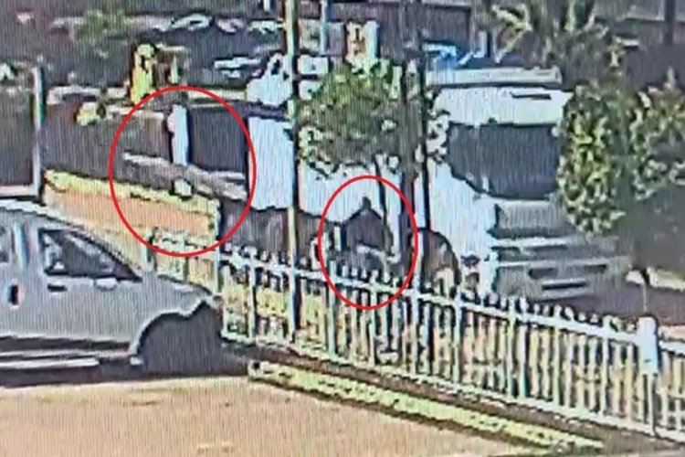 Adana'da kamyonun a&ccedil;ık kalan kasa kapağı bisikletliyi yaraladı