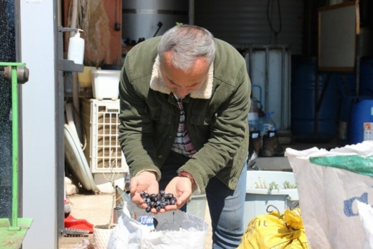 Aydın'da ayda 24 bin liraya &ccedil;alışacak iş&ccedil;i bulamıyor!