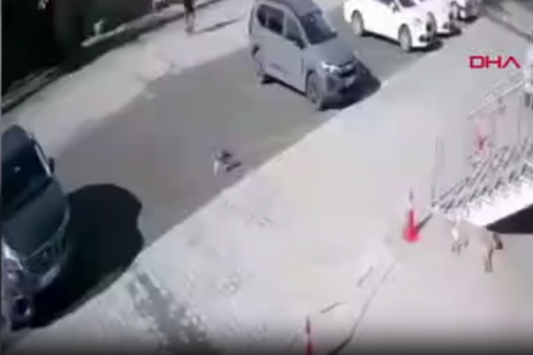 Uyuyan k&ouml;peğe taş atarak saldırdı!