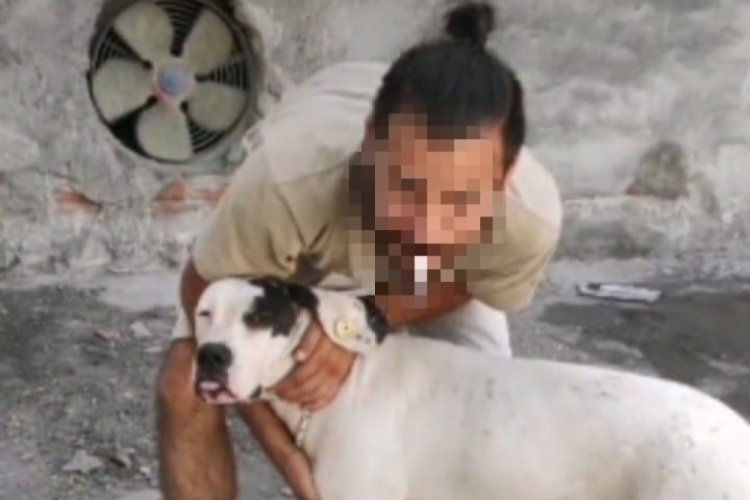5 yaşındaki &ccedil;ocuğa ve kadına saldıran k&ouml;peğin sahibine hapis talebi
