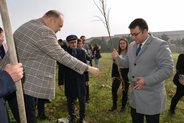 BU&Uuml; Karacabey MYO hayatını kaybedenler anısına fidan dikti