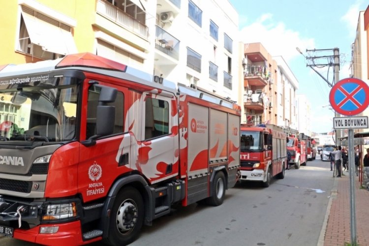 Yanan dairede mahsur kalan kedi, itfaiye ekiplerince kurtarıldı