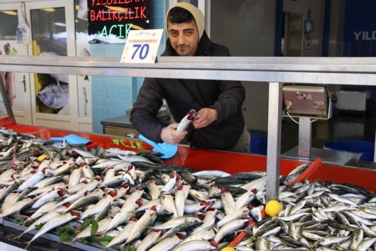 Bolu'da sezonun son g&uuml;nlerini yaşayan hamsi 70 liradan satılıyor