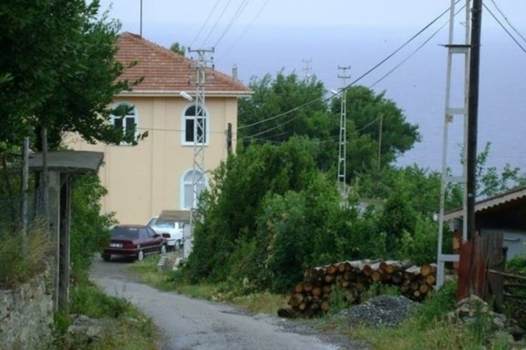 Kastamonu'da şap nedeniyle bir il&ccedil;e karantinaya alındı