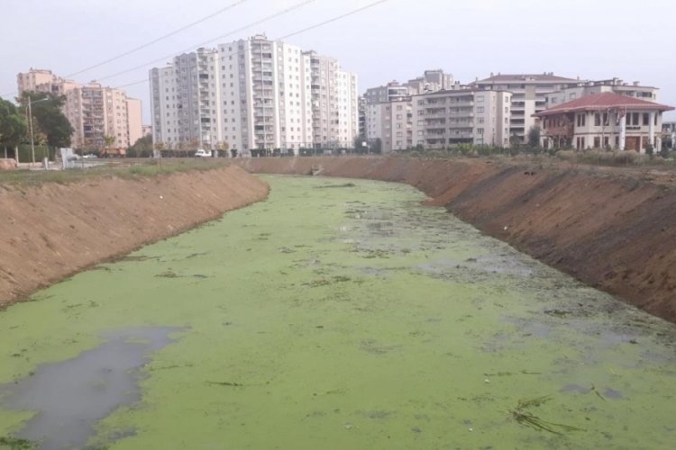 Bursa'nın 29 Ekim Mahallesi'nin kanayan yarası 'Ayvalı Deresi'