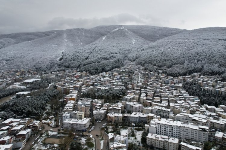 Bursa beyaza b&uuml;r&uuml;nd&uuml;