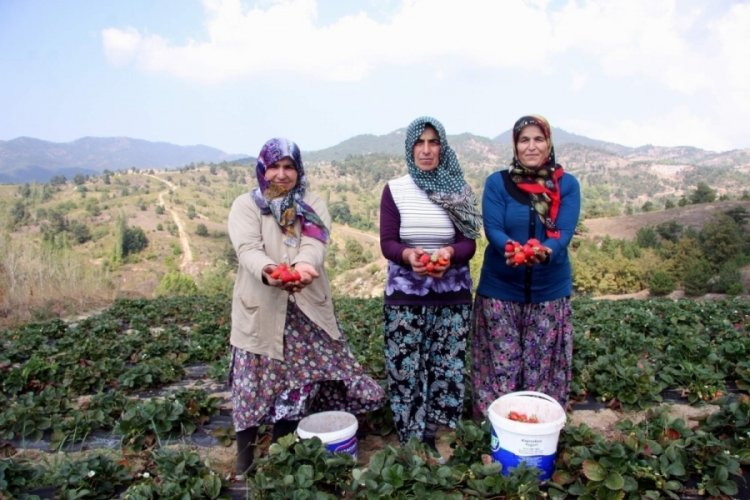 Bursa Orhaneli Belediye Başkanı'ndan kırsaldaki &ccedil;alışanlarla ilgili a&ccedil;ıklama