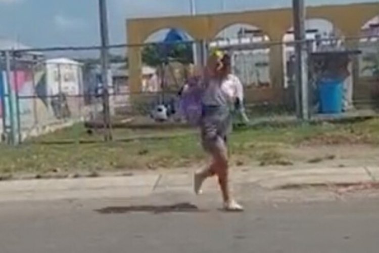 Meksika'da yaban arılarının saldırdığı kadın yaşamını yitirdi