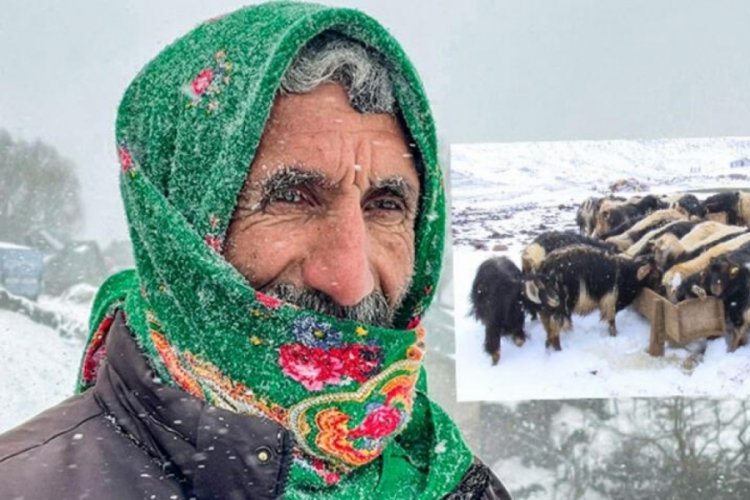 Muş'ta yaylada şaşkına &ccedil;eviren g&ouml;r&uuml;nt&uuml;