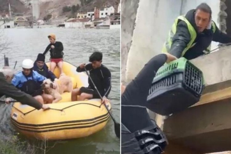 Artvin'de baraj suları her yeri kapladı! Sokak hayvanları bot ile kurtarıldı
