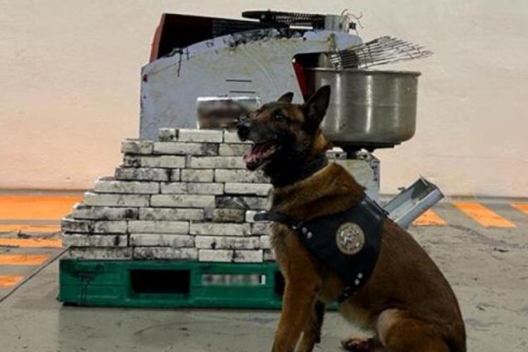 İstanbul Havalimanı'nda hamur makinesinden 42 kilogram kokain bulundu