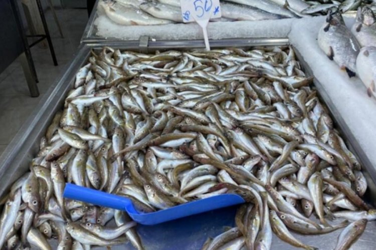 Ramazan'da mezgit ve somon rağbet g&ouml;r&uuml;yor
