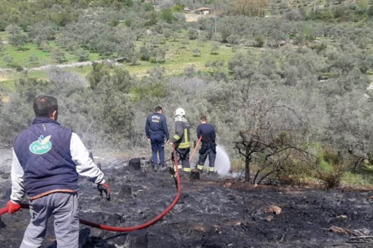 Muğla'da temizlik ateşi ormanı yakıyordu!