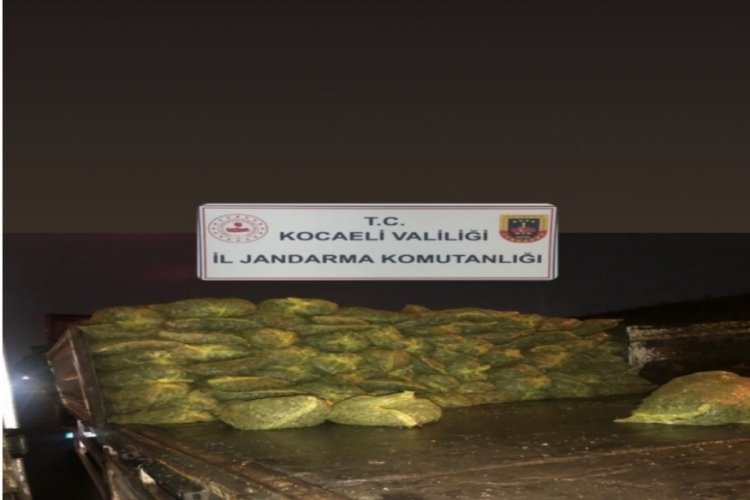 Kocaeli'de TIR'da 10 ton ka&ccedil;ak midye ele ge&ccedil;irildi