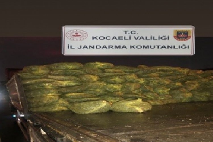 Kocaeli'nde tonlarca ka&ccedil;ak midye ele ge&ccedil;irildi