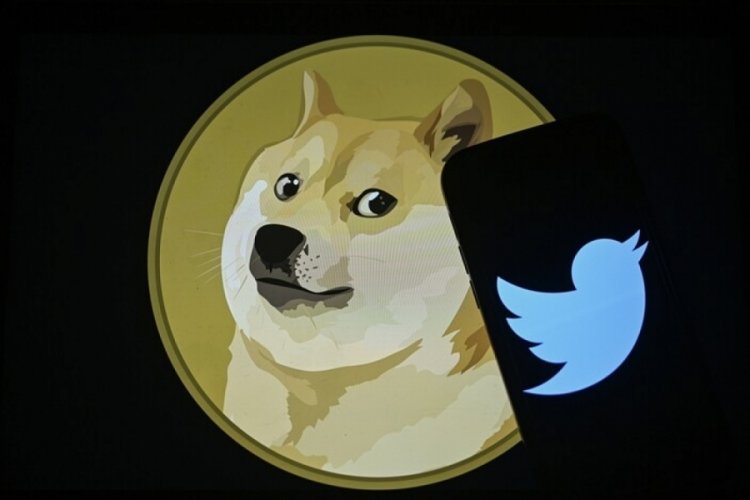 Twitter'ın logosuna dair Elon Musk'tan esprili paylaşım