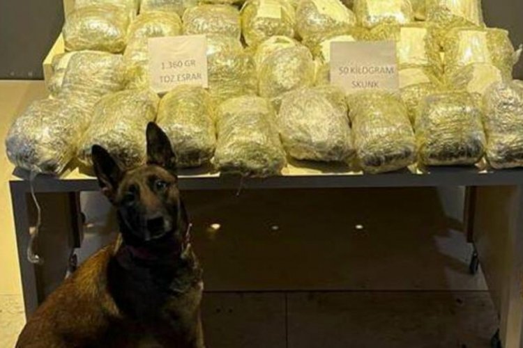 Malatya'da yolcu otob&uuml;s&uuml;nde 51 kilo skunk bulundu