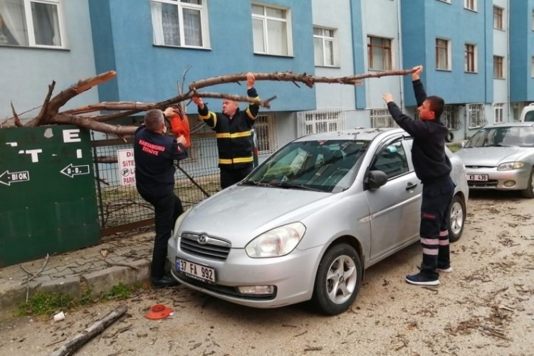 Kastamonu'da devrilen ağa&ccedil; park halindeki otomobilin &uuml;st&uuml;ne d&uuml;şt&uuml;