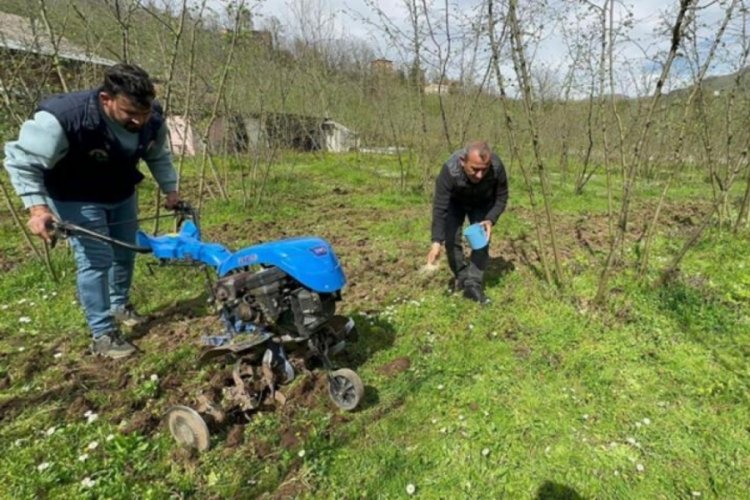Ordu&nbsp;Valisi duyurdu! Fındıkta bilin&ccedil;li g&uuml;bre kullanımı verimi ikiye katladı
