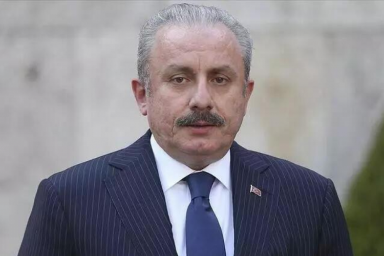 Mustafa Şentop'tan, Akşener'e mermi tepkisi