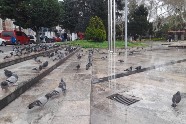 Zonguldak Ereğli'de lodos ve yağış etkili oldu