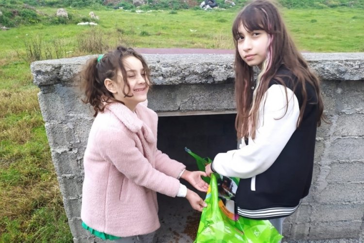 Samsun Bafra'da sokak hayvanları unutulmadı