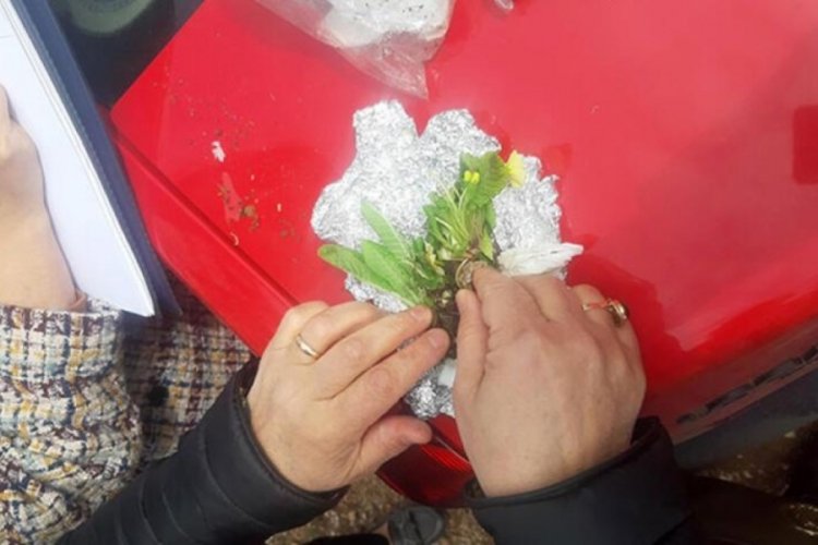Slovakyalı biyoka&ccedil;ak&ccedil;ılara su&ccedil;&uuml;st&uuml;! İdari para cezası uygulandı